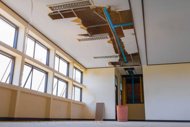 Best Sewage cleanup and water damage restoration  in Mount Kisco, NY