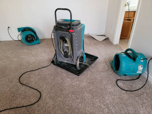 Fire Damage Restoration in Mount Kisco, NY