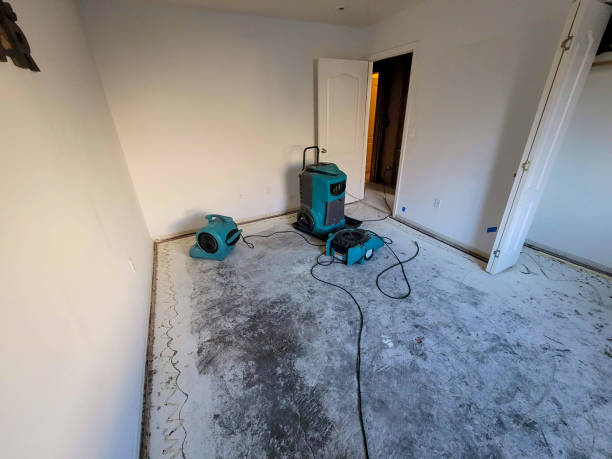 Best Commercial water damage restoration  in Mount Kisco, NY