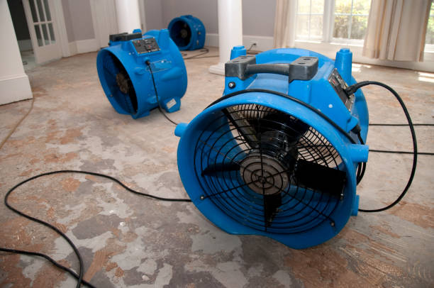 Best Water damage restoration near me  in Mount Kisco, NY