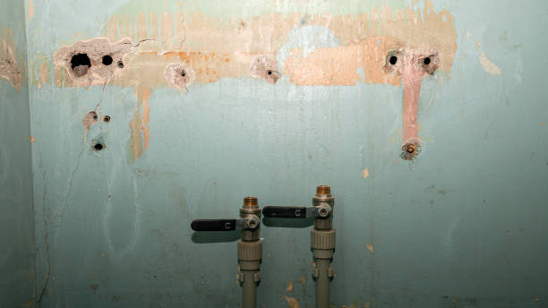 Best Local water damage restoration  in Mount Kisco, NY