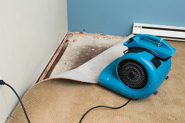Best Flood damage cleanup  in Mount Kisco, NY